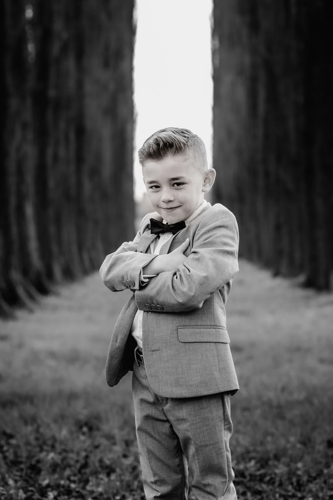 Communiefoto’s met zonnestralen en kale bomen in de lente