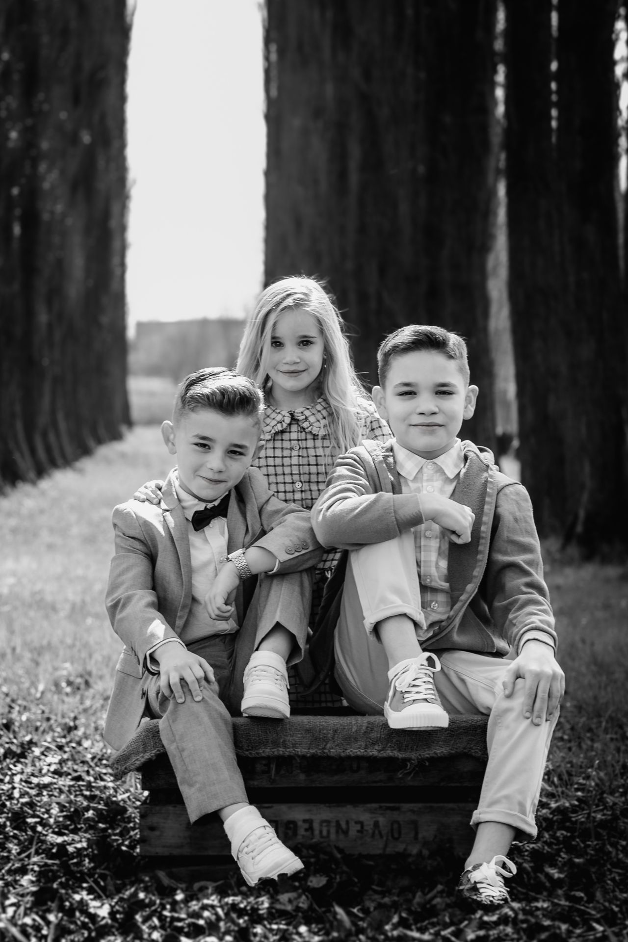 Communiefoto’s met zonnestralen en kale bomen in de lente