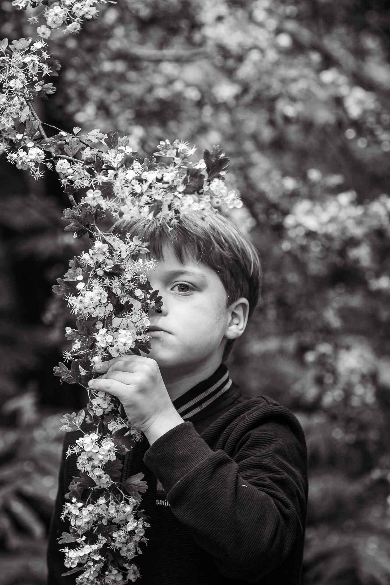 Tijdloze familiefotografie in veld met warme zon en natuurlijke charme.