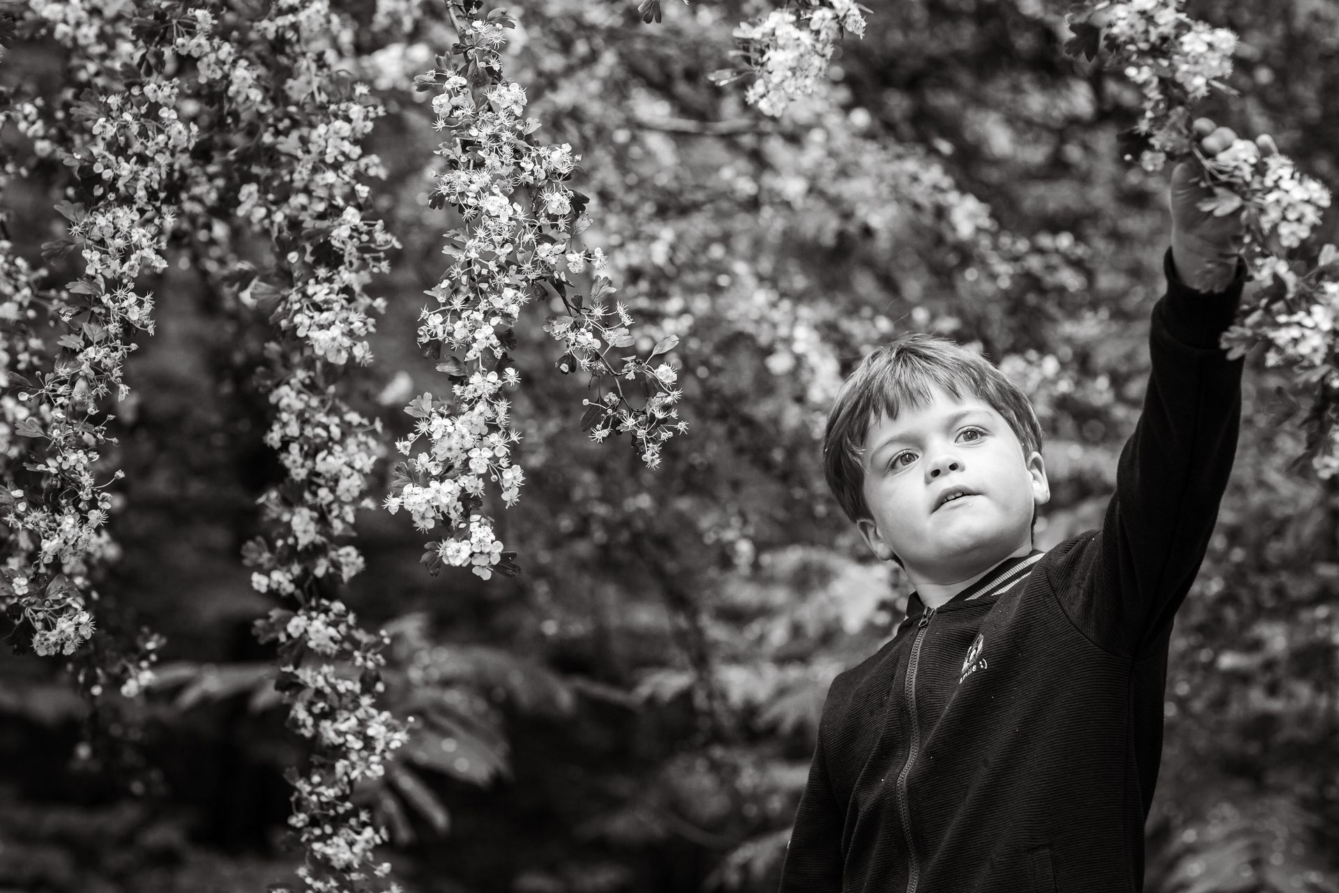 Fotoshoot van gezin in landelijke omgeving met zon en zachte wolken.