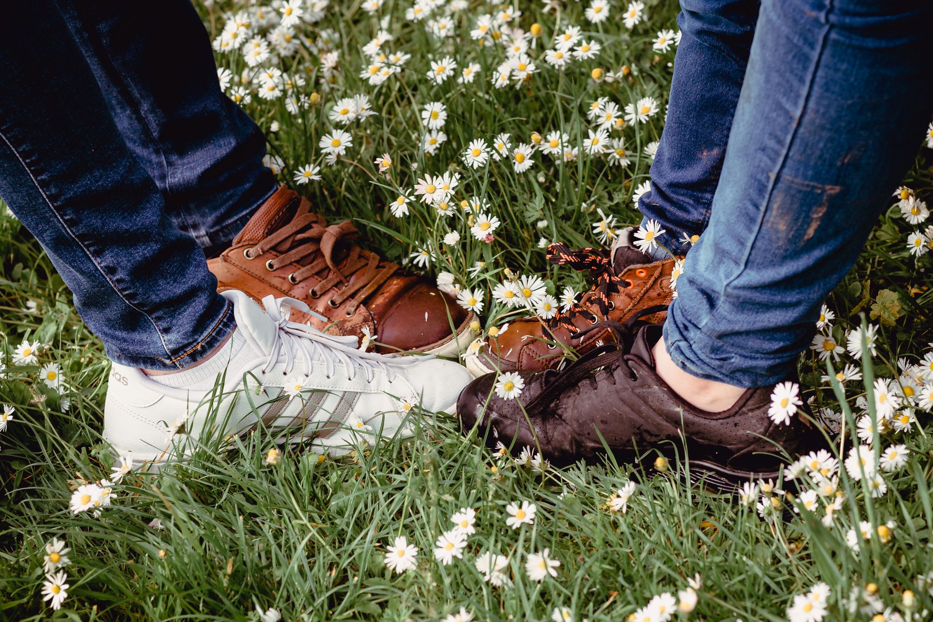 Fotoshoot van gezin in landelijke omgeving met zon en zachte wolken.