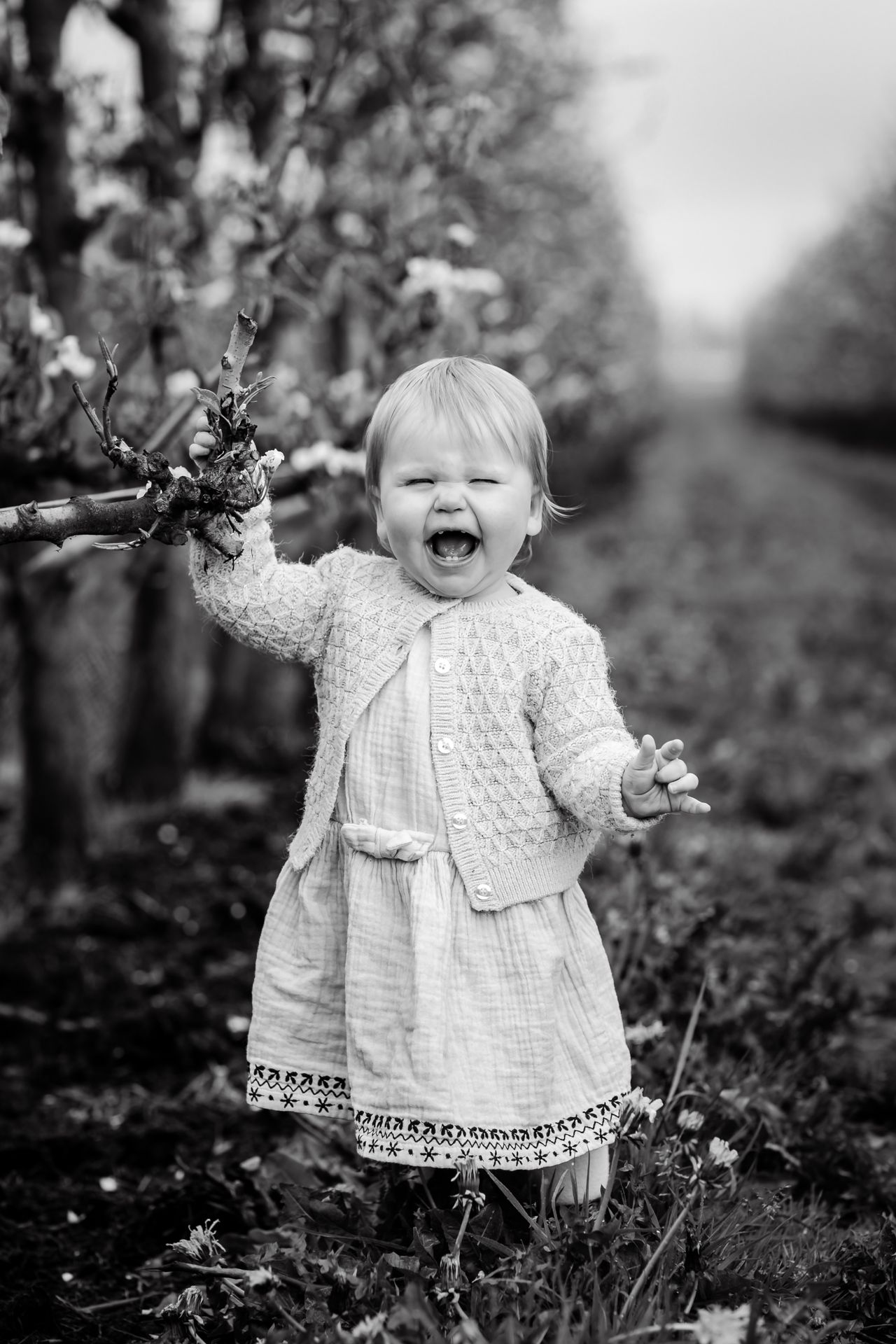 Fotoshoot van gezin in appelboomgaard, bloeiende bomen en Belgische lenteweer