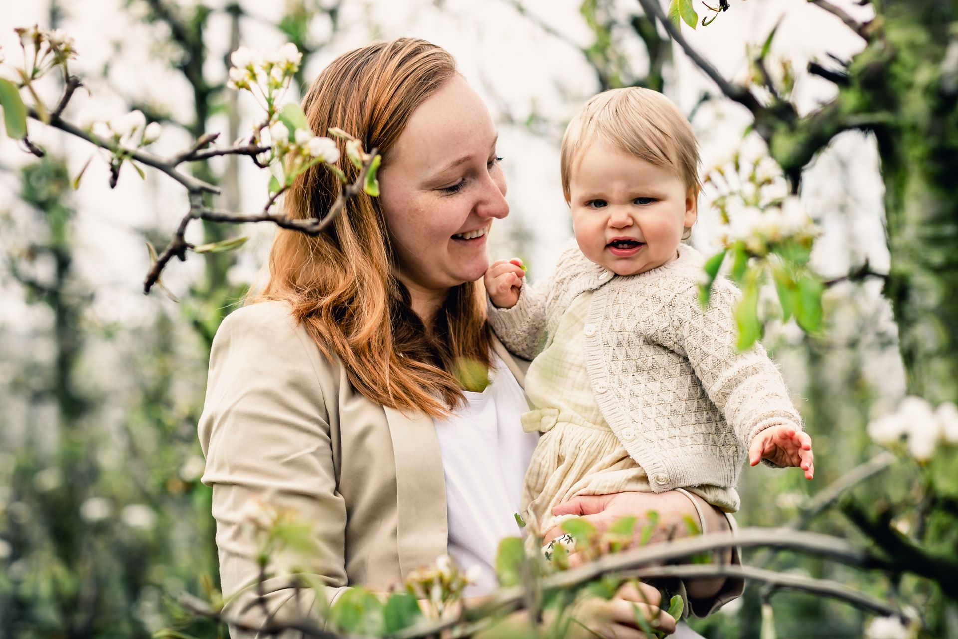 Fotoshoot van gezin in appelboomgaard, bloeiende bomen en Belgische lenteweer