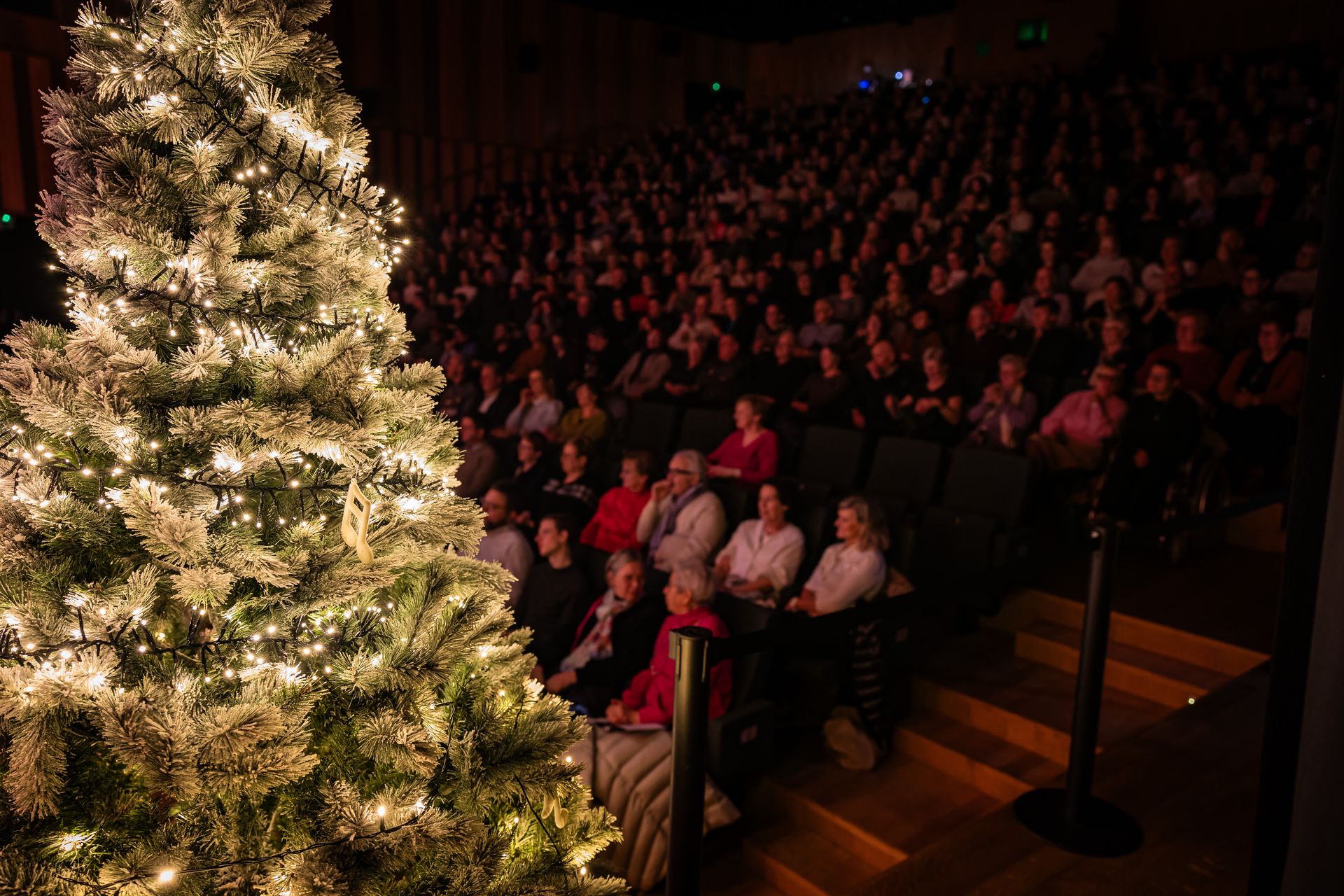Muzikale dynamiek binnen Harmonie Orkest